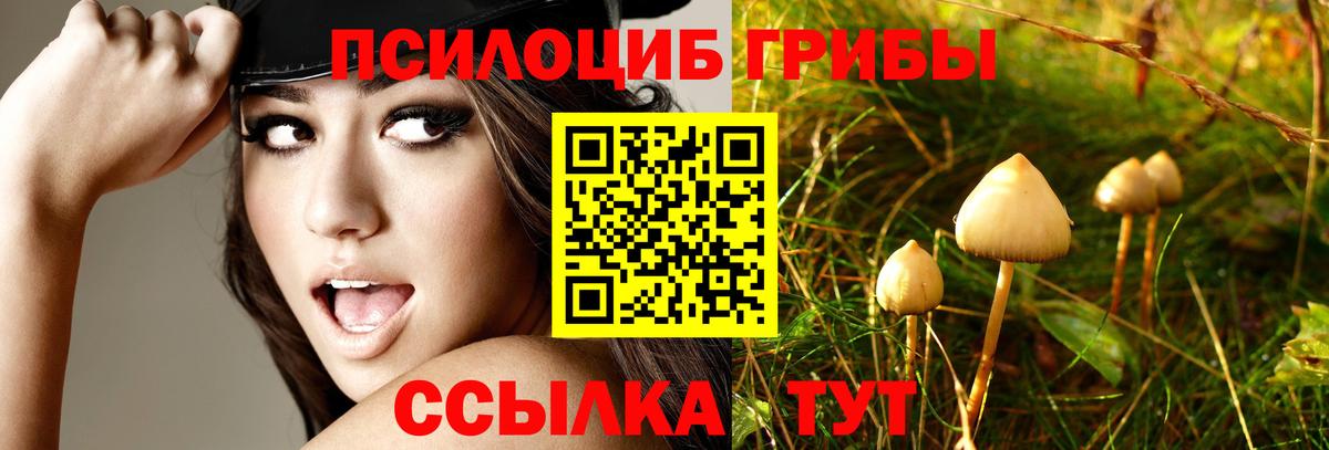 Псилоцибиновые грибы прущие грибы  Вход с VPN  Борисоглебск 